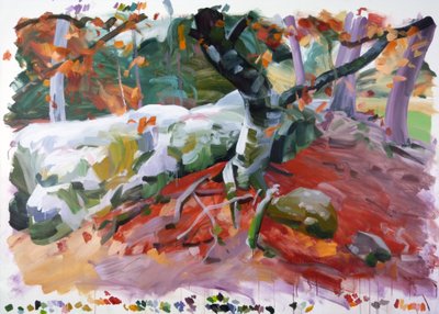 Foresta 36 da Olivier Morel