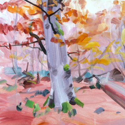 Foresta 37 da Olivier Morel