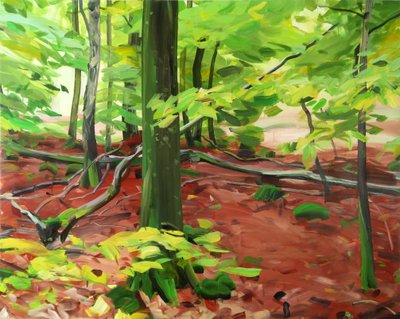 Foresta 5 da Olivier Morel