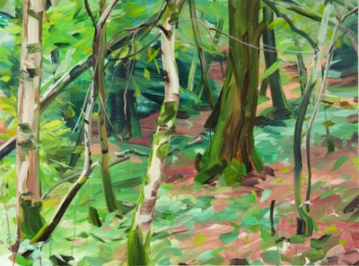 Foresta 6 da Olivier Morel