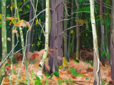 Foresta 7 da Olivier Morel