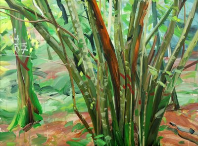 Foresta 8 il-9-gennaio-2015 da Olivier Morel
