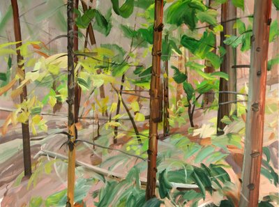Foresta 9 da Olivier Morel