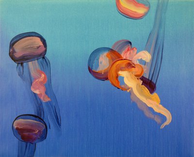 Méduses 14, 2013 (acrilico su tela) da Olivier Morel