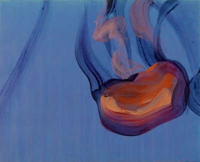 Méduses 5, 2013 (acrilico su tela) da Olivier Morel
