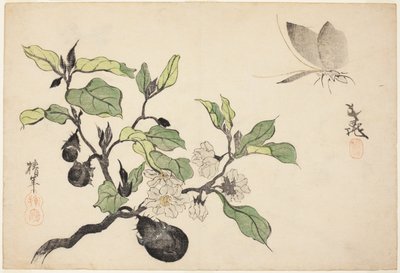 Melanzane con frutta e fiori da Onishi Chinnen