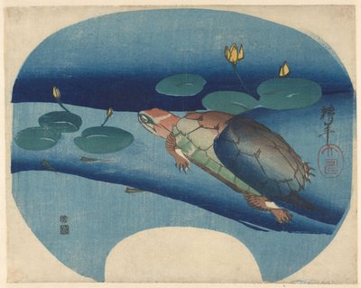 Stampa a ventaglio con tartaruga che nuota tra le ninfee da Onishi Chinnen