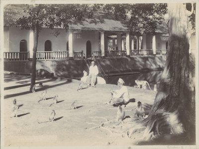 Uomini indiani con scimmie in un cortile vicino a un