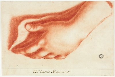 Calco in gesso della mano sinistra da Onorio Marinari