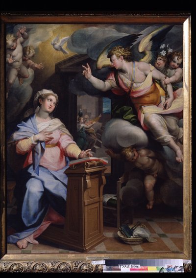 Immagine sconosciuta da Orazio Samacchini