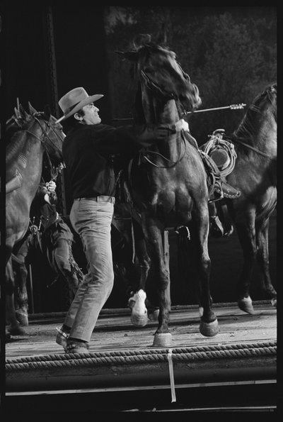 Gregory Peck con cavallo sul set di 
