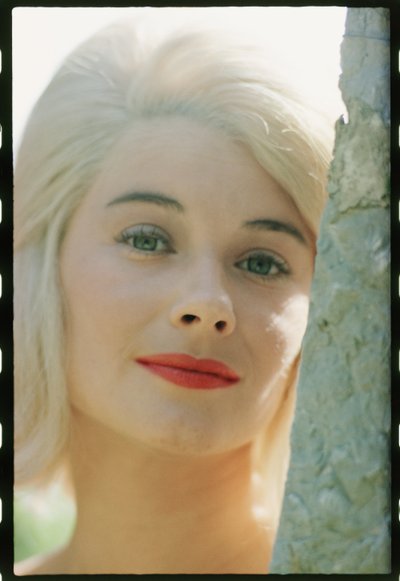 Primo piano di Hope Lange da Orlando Suero