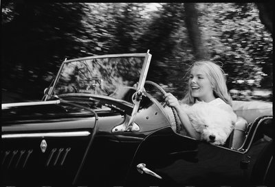 Janet Landgard guida con il cane da Orlando Suero
