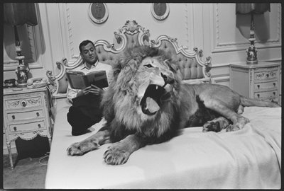 Tony Randall con leone (Zamba), sul set di 