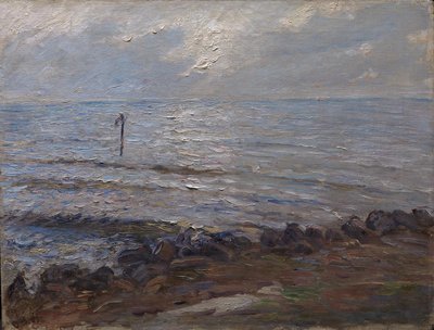 Luce del sole sul mare da Oscar Björck
