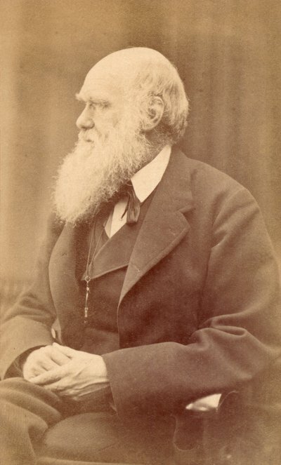 Ritratto di Charles Darwin all