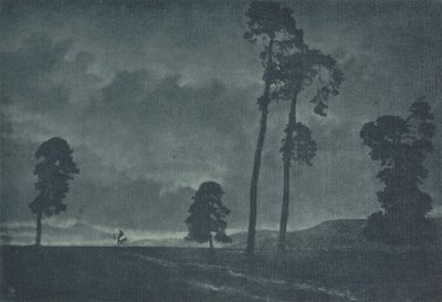 Camera Work: Il cavaliere solitario, 1904 da Oscar and Theodor Hofmeister