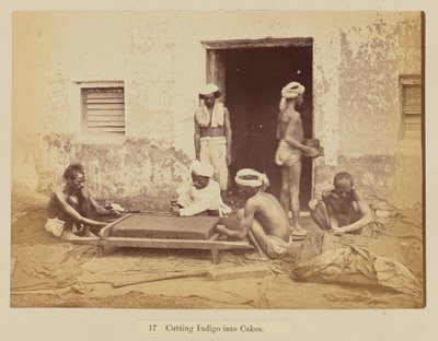 Taglio dell