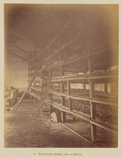 Casa di essiccazione (torte di indaco sugli scaffali) da Oscar Jean Baptiste Mallitte