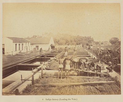 Fabbrica di Indaco (caricamento delle vasche) da Oscar Jean Baptiste Mallitte