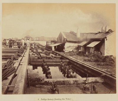 Fabbrica di indaco (caricamento delle vasche) da Oscar Jean Baptiste Mallitte
