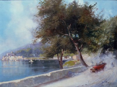 Corsa sul lago da Oscar Ricciardi