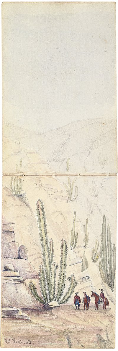 Cactus nella profonda "Quebrada", 1863 da Oswald Younghusband