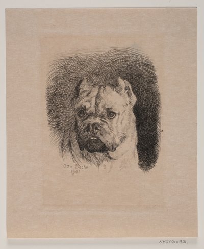 Testa di cane da Otto Bache
