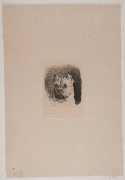 Testa di cane da Otto Bache