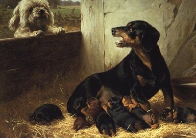 Il visitatore indesiderato da Otto Bache