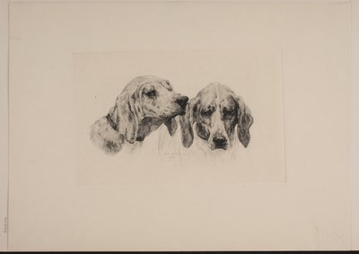 Due teste di cane da Otto Bache
