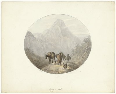 Paesaggio montano in Spagna, con muli da soma da Otto Baron Howen