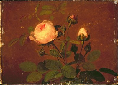 Rose, Rose da Otto Didrik Ottesen