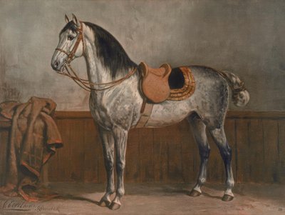 Lipizzano da Otto Eerelman