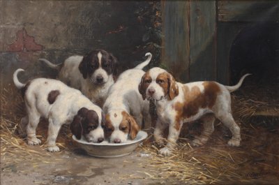 Cuccioli di San Bernardo che bevono latte da Otto Eerelman