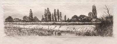 Campo di grano, 1879 da Otto H. Bacher