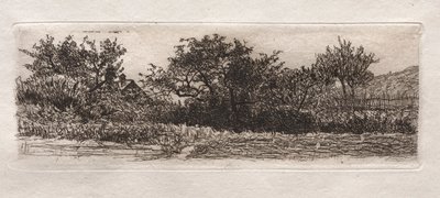 Tetti e Alberi da Otto H. Bacher