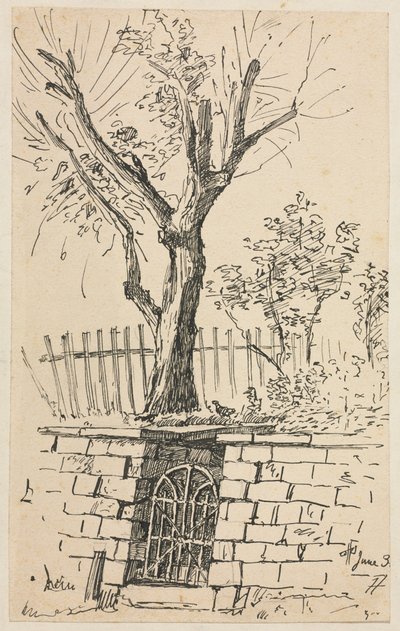 Albero sopra un muro di pietra, Cleveland da Otto H. Bacher