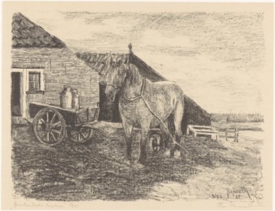 Cavalla di Ameland da Otto Hanrath (signed by artist)
