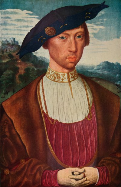 Ritratto di Joost Van Bronckhorst da Otto Limited
