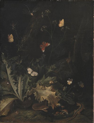 Pavimento della foresta con un cardo, un serpente, una lucertola e farfalle da Otto Marseus  van Schrieck