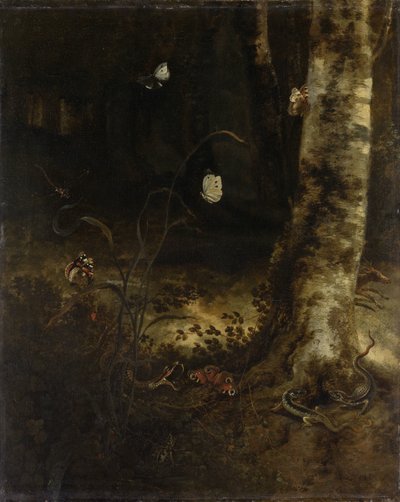 Suolo della foresta con un serpente, lucertole, farfalle e altri insetti da Otto Marseus  van Schrieck