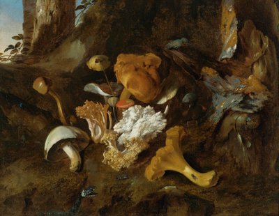 Natura morta del sottobosco con funghi, farfalle e un serpente da Otto Marseus  van Schrieck