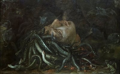 Testa di Medusa da Otto Marseus  van Schrieck
