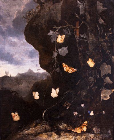  da Otto Marseus van Schrieck