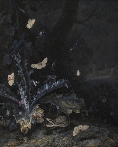 Natura morta con cardo e serpente da Otto Marseus  van Schrieck