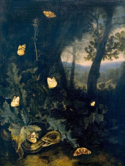 Suolo del bosco con cardo e serpente da Otto Marseus  van Schrieck