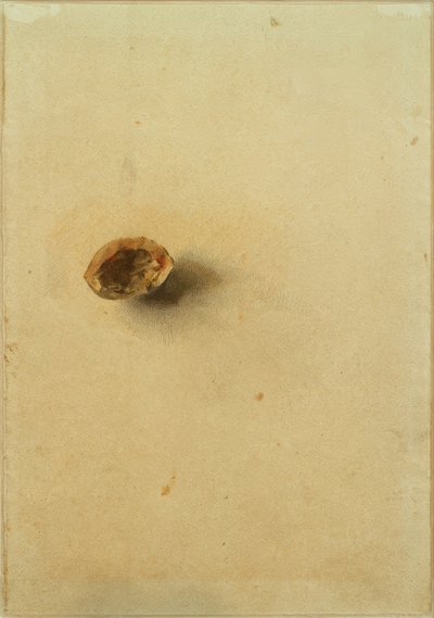 Guscio di noce da Otto Meyer Amden