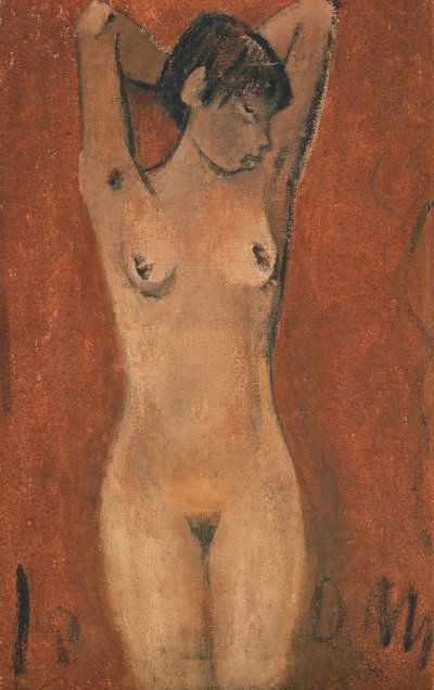 Nudo femminile su sfondo marrone da Otto Mueller