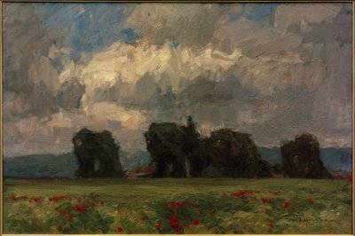 Paesaggio scuro con pioppi e papaveri da Otto Ubbelohde